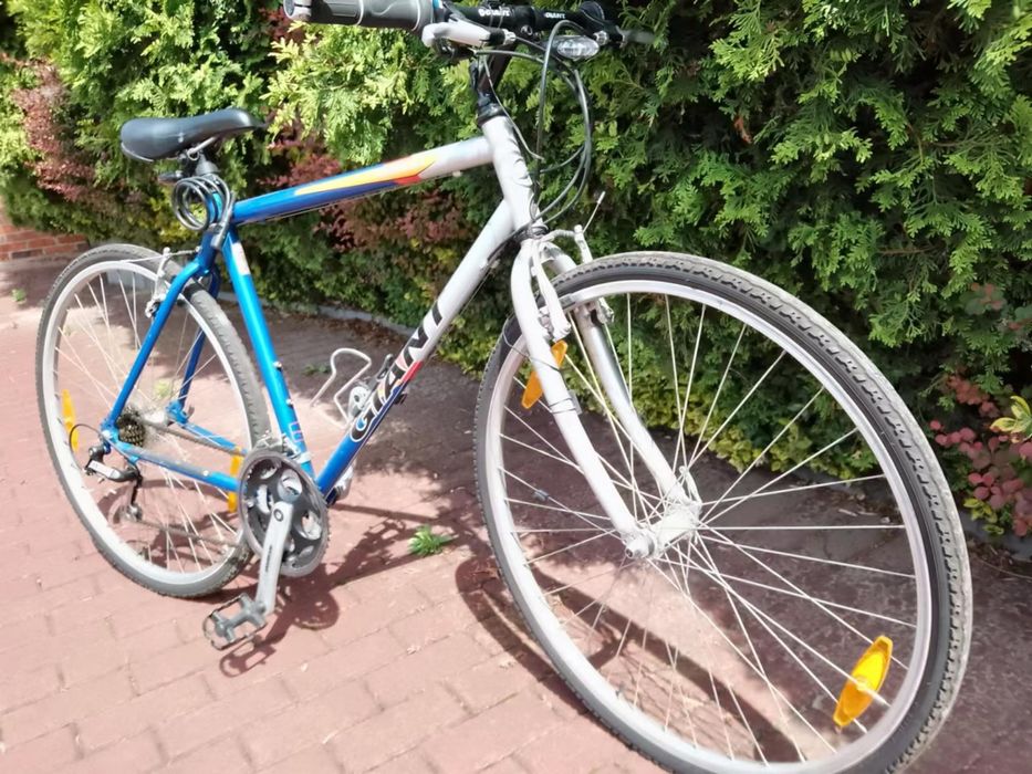 Rower Giant Cross K1