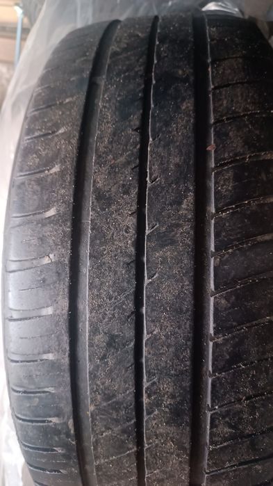 Opony letnie marki Dębica