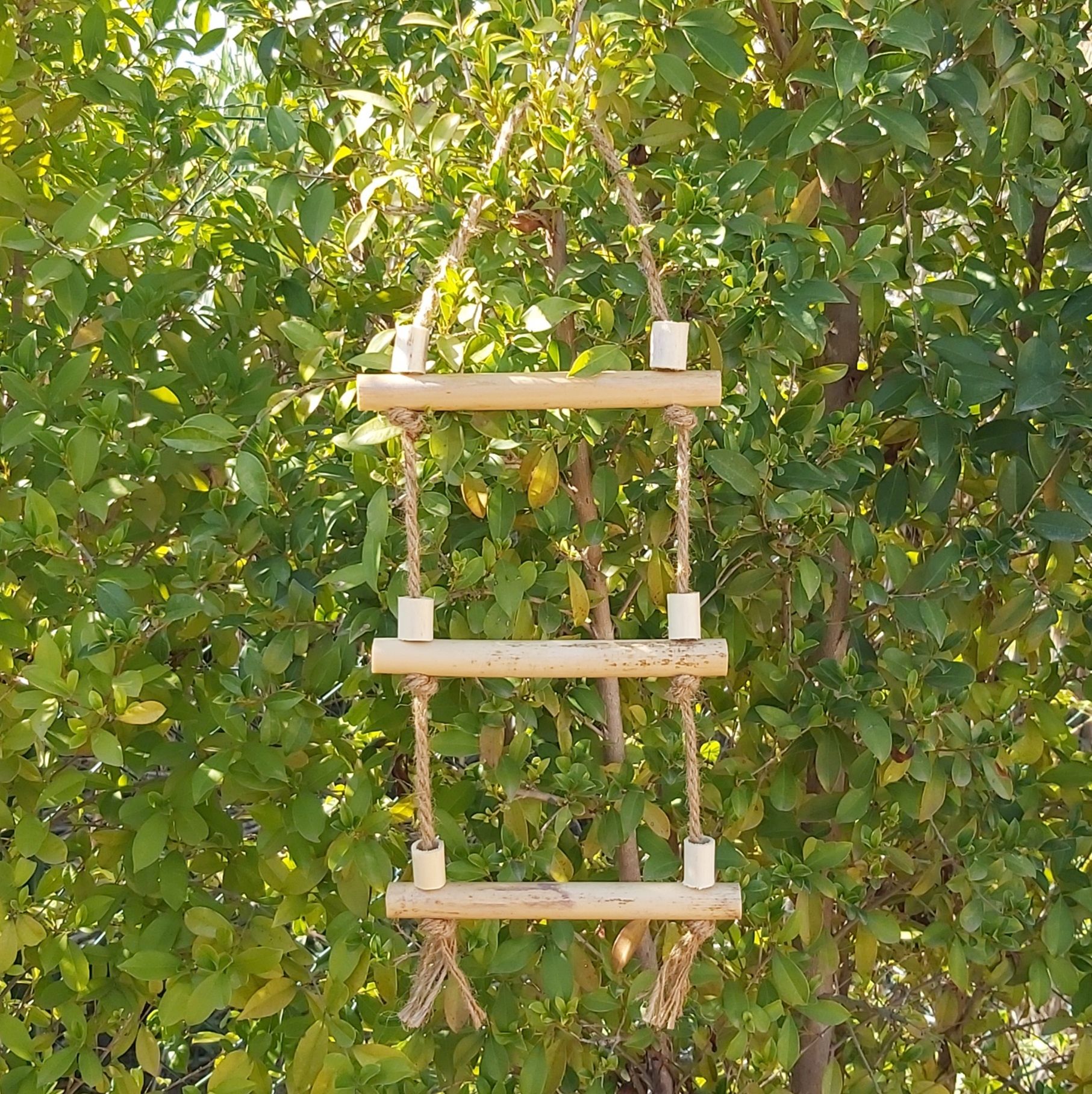 Escada para papagaios feita de canas 40 cm