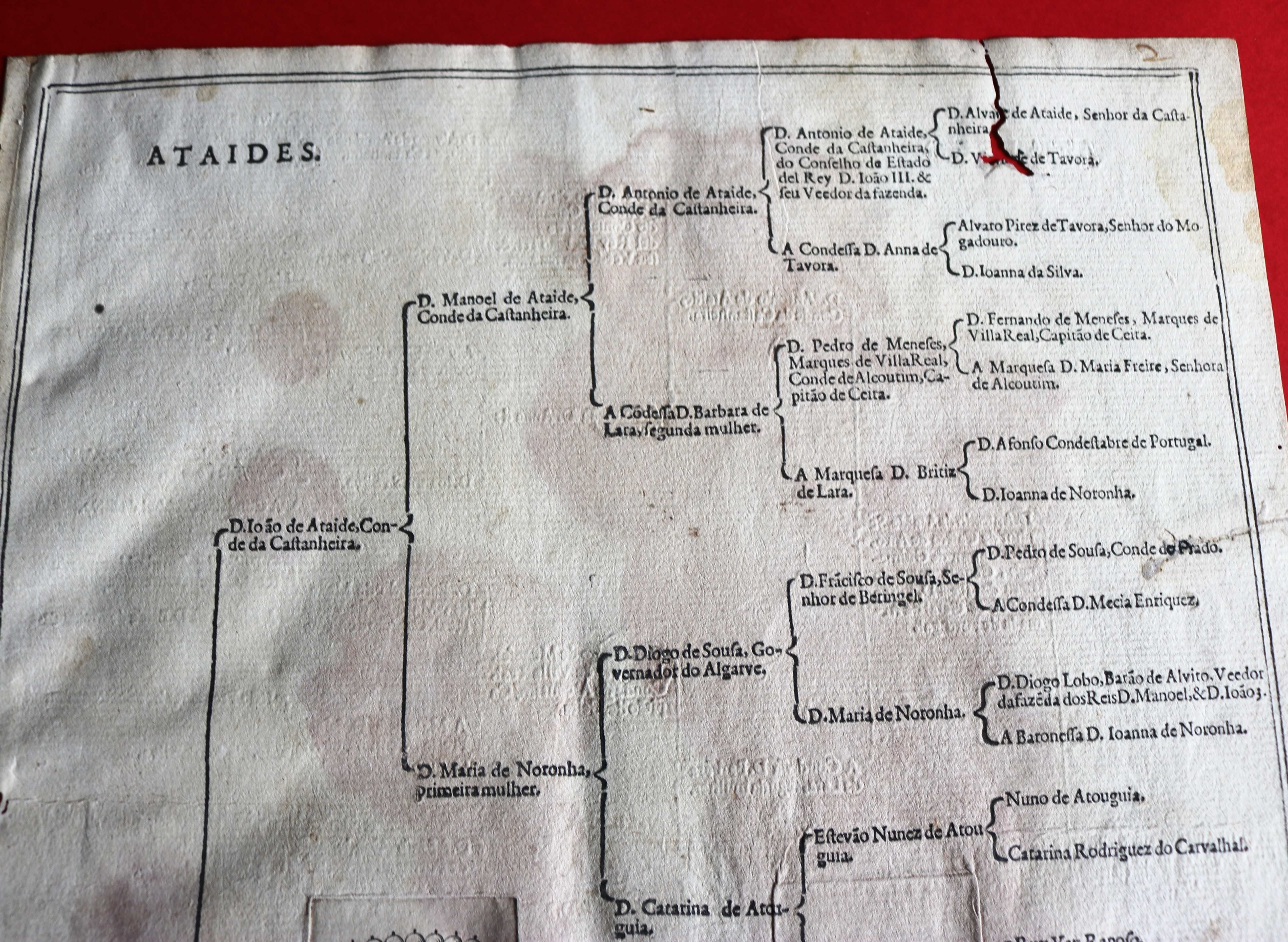 Condes de Castanheira, Ataídes dupla árvore de costados 1623 rara