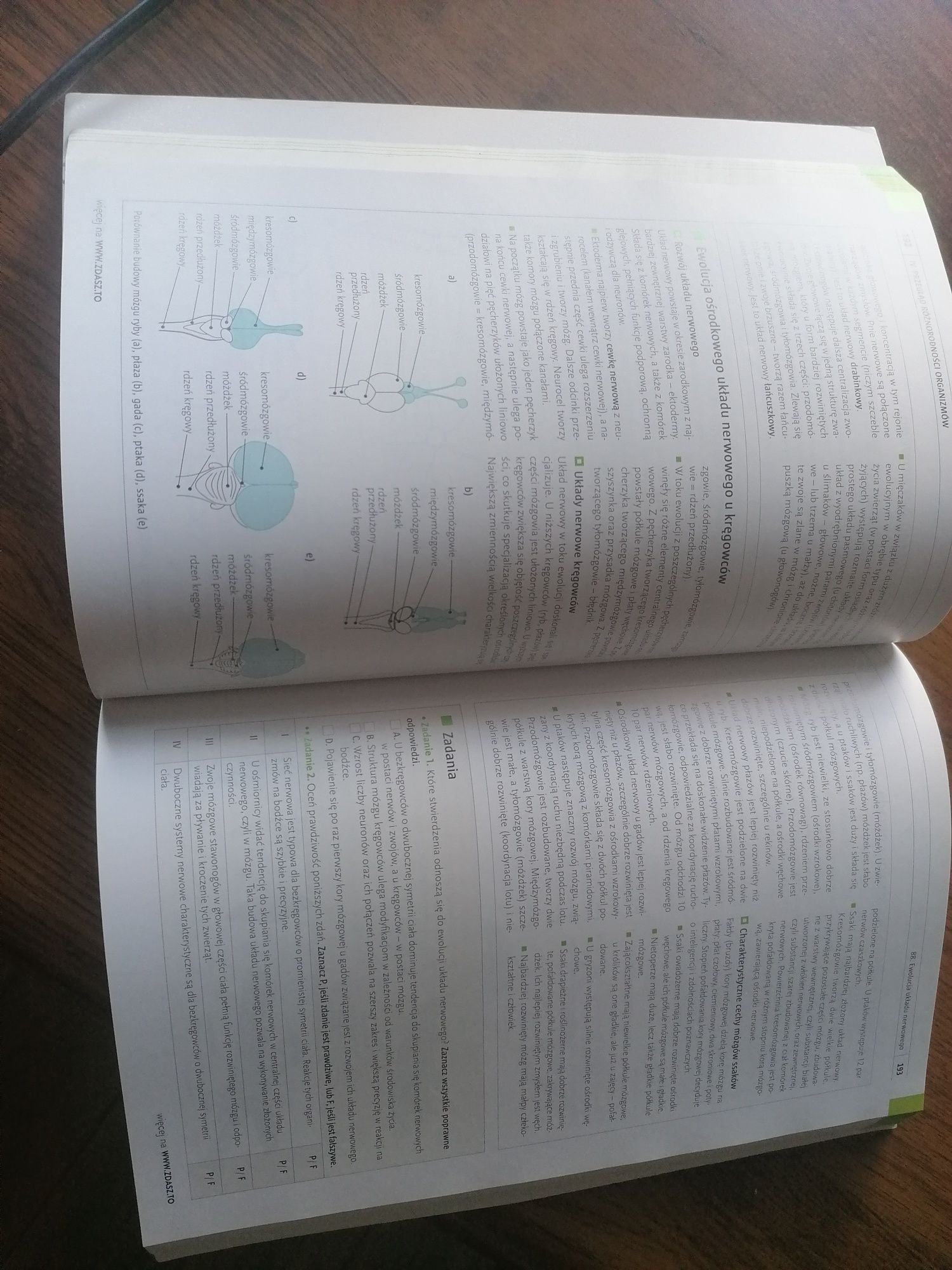 Biologia WSiP - repetytorium maturalne