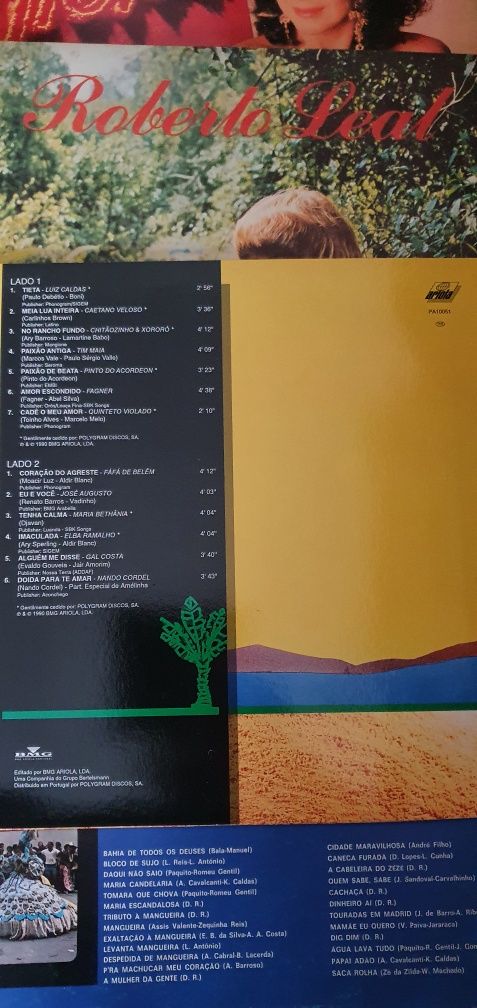 Discos vinil LP música brasileira