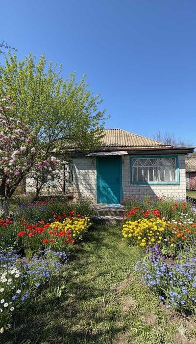 Продаж будинку у селі Чехівка під Черкасами біля річки Дніпро