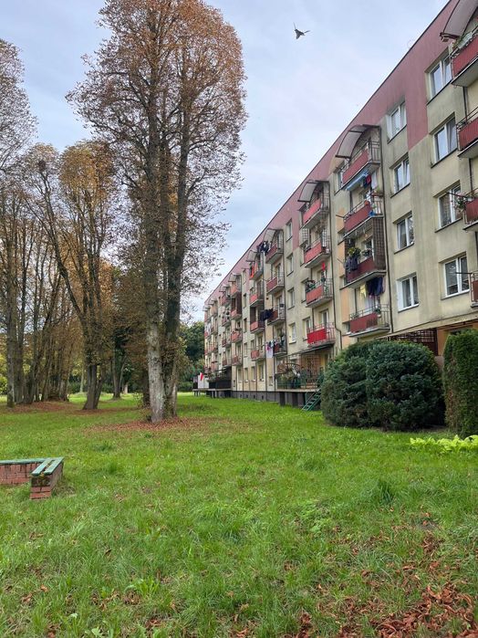 4 pokojowe na os. Lotnisko