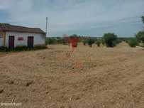 Moradia T2 para recuperar comTerreno com 5.394m2 , Santarém.