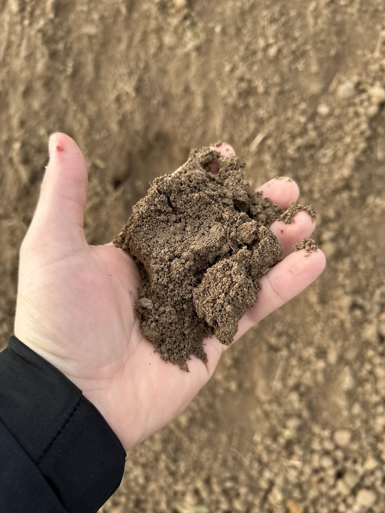 Gruz piasek kamien kliniec otoczak ziemia ogrodowa pod trawnik humus