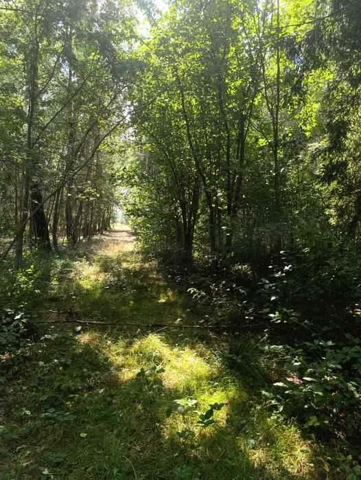 Na sprzedaż urokliwa posiadłość (dom, działka) ponad 3,5 ha