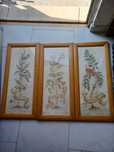 Quadros para decoração em pinho mel