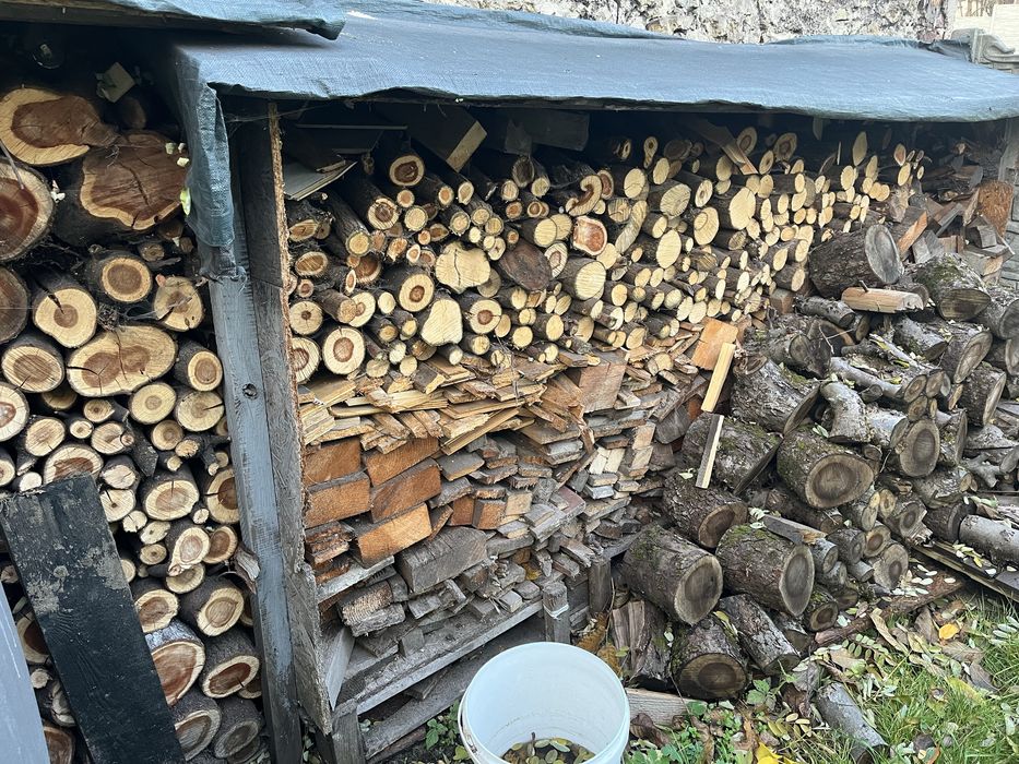 Drewno pocięte na opał