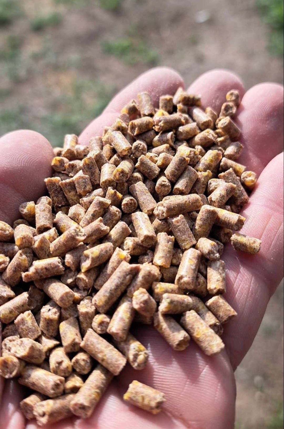 Pellet kukurydziany 4mm