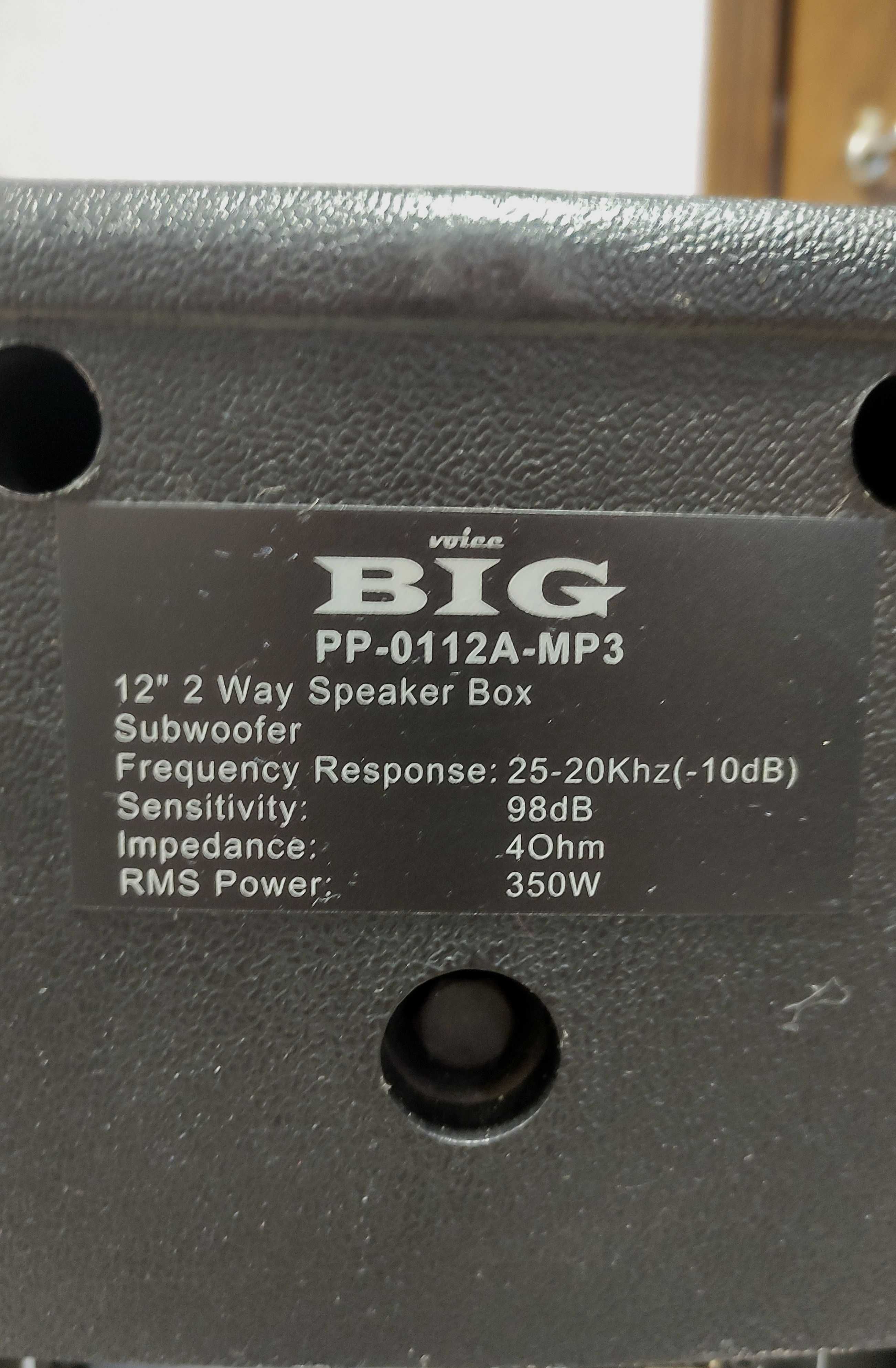 Активна акустична система BIG PP0112A + MP3\350w