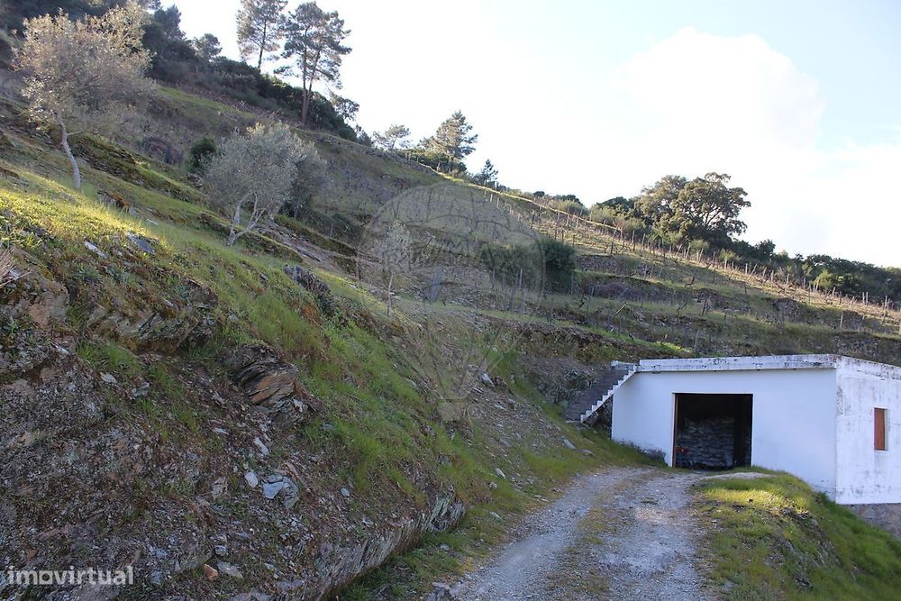 Armazém  para venda
