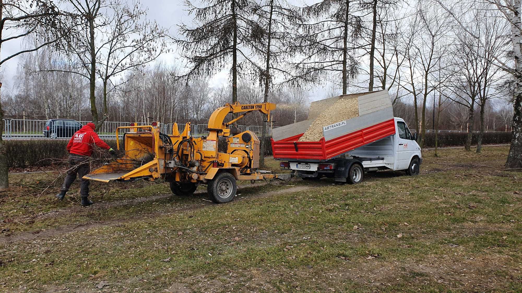 Wycinka drzew, frezowanie, rębkowanie
