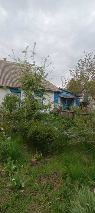 Продам будинок смт Гребінки Білоцерківський район Київська область