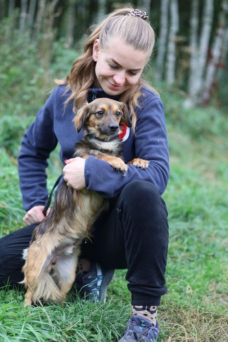 Roczny malutki samiec do adopcji