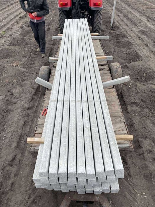 Садові стовчики (Шпалера)