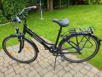 Rower Kross Trans 1.0  L 19