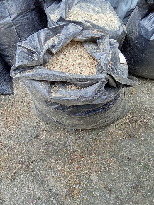 Aparas madeira  secas