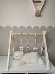 Babygym dla chłopca