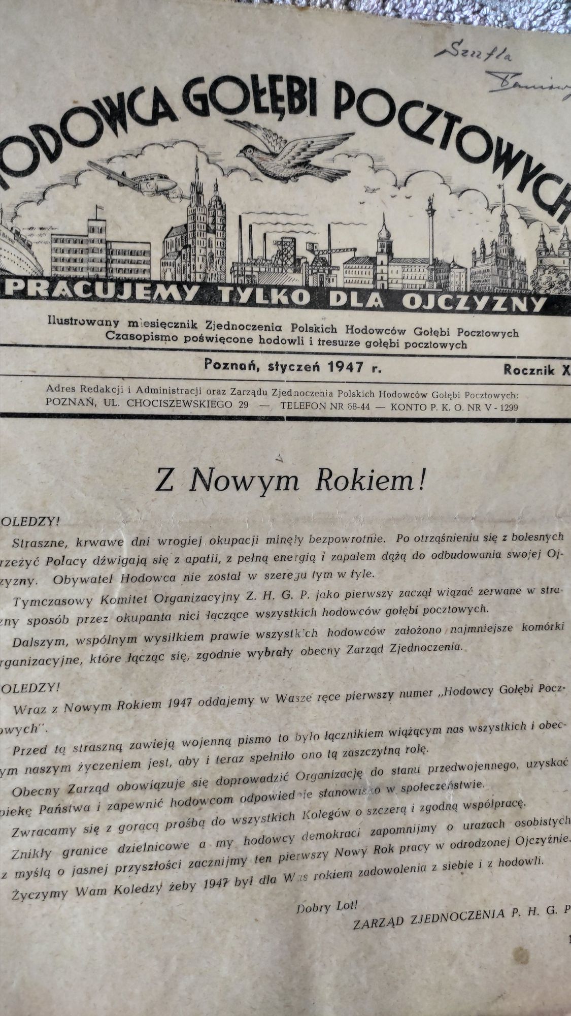 Hodowca gołębi pocztowych rok 1947.