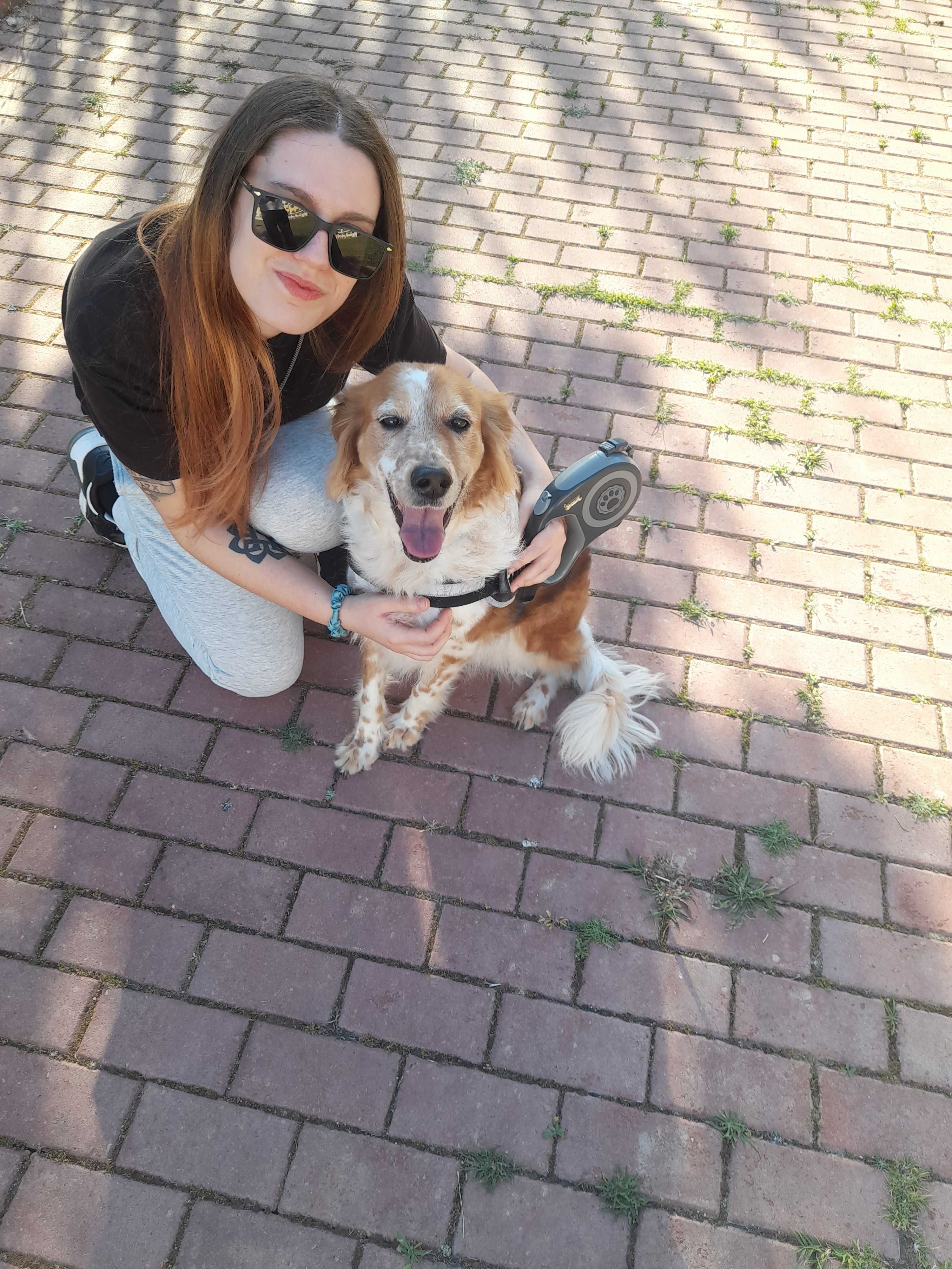 Pet Sitting/Pet Walking Montijo