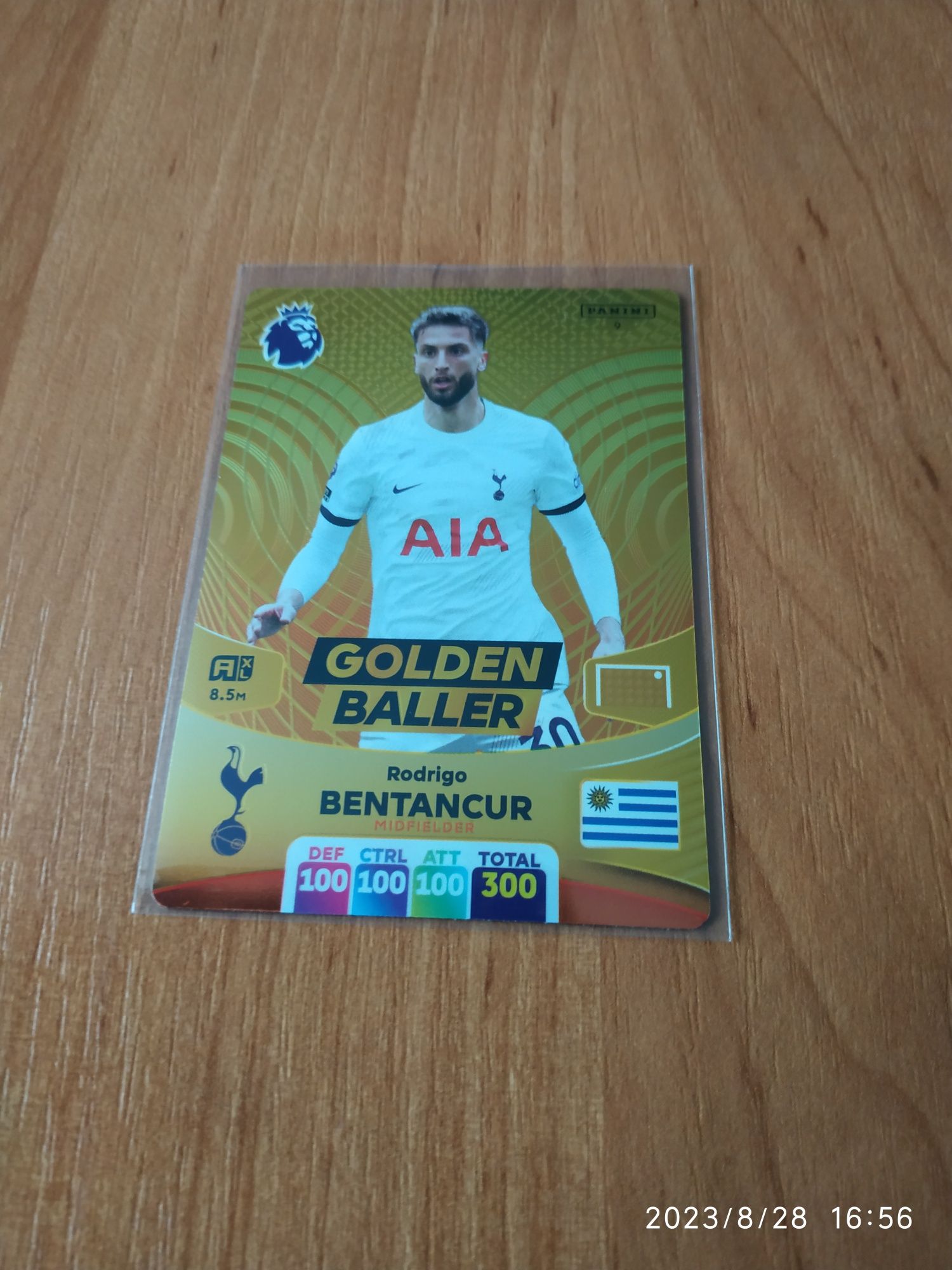 Zamienię karty z kolekcji Panini Premier League 2024