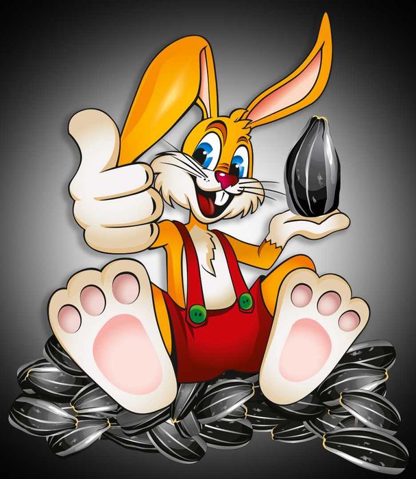 Насіння соняшнику смажене  ЗАЙКА  СВІЖАЧОК Гарбузове насіння