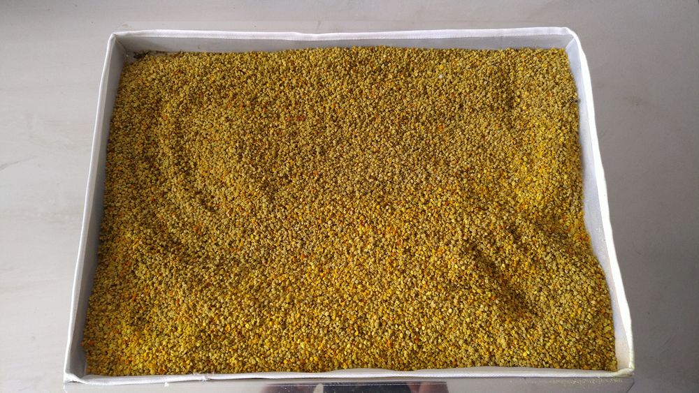 Pszczeli pyłek kwiatowy