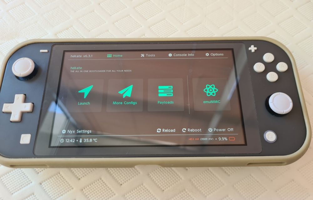 Nintendo Switch Lite Cinza personalizada (Garantia Loja)