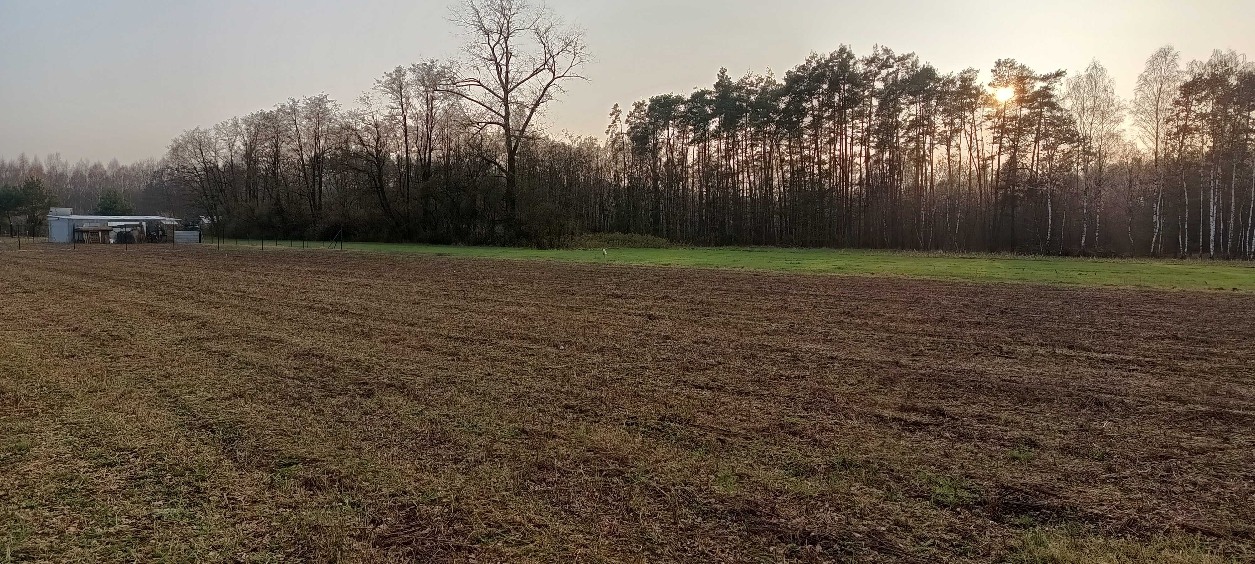 Działka budowlana Magdalenów gmina Wodzierady