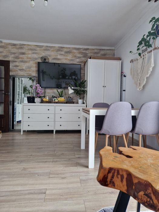 Dom/mieszkanie 54m2, działka 6 arów