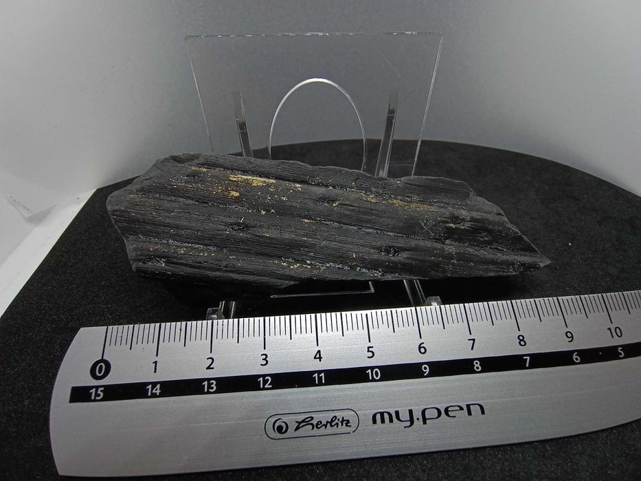 Skamieniałość Karbońska - Kora Sygilarii z Pirytem