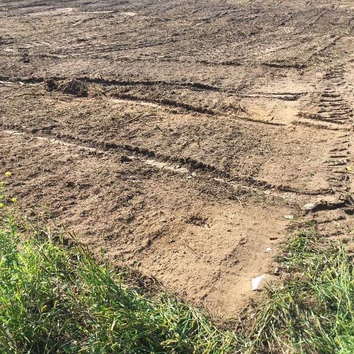 Karczowanie czyszczenie i rekultywacja działek mulczer leśnym, wycinka