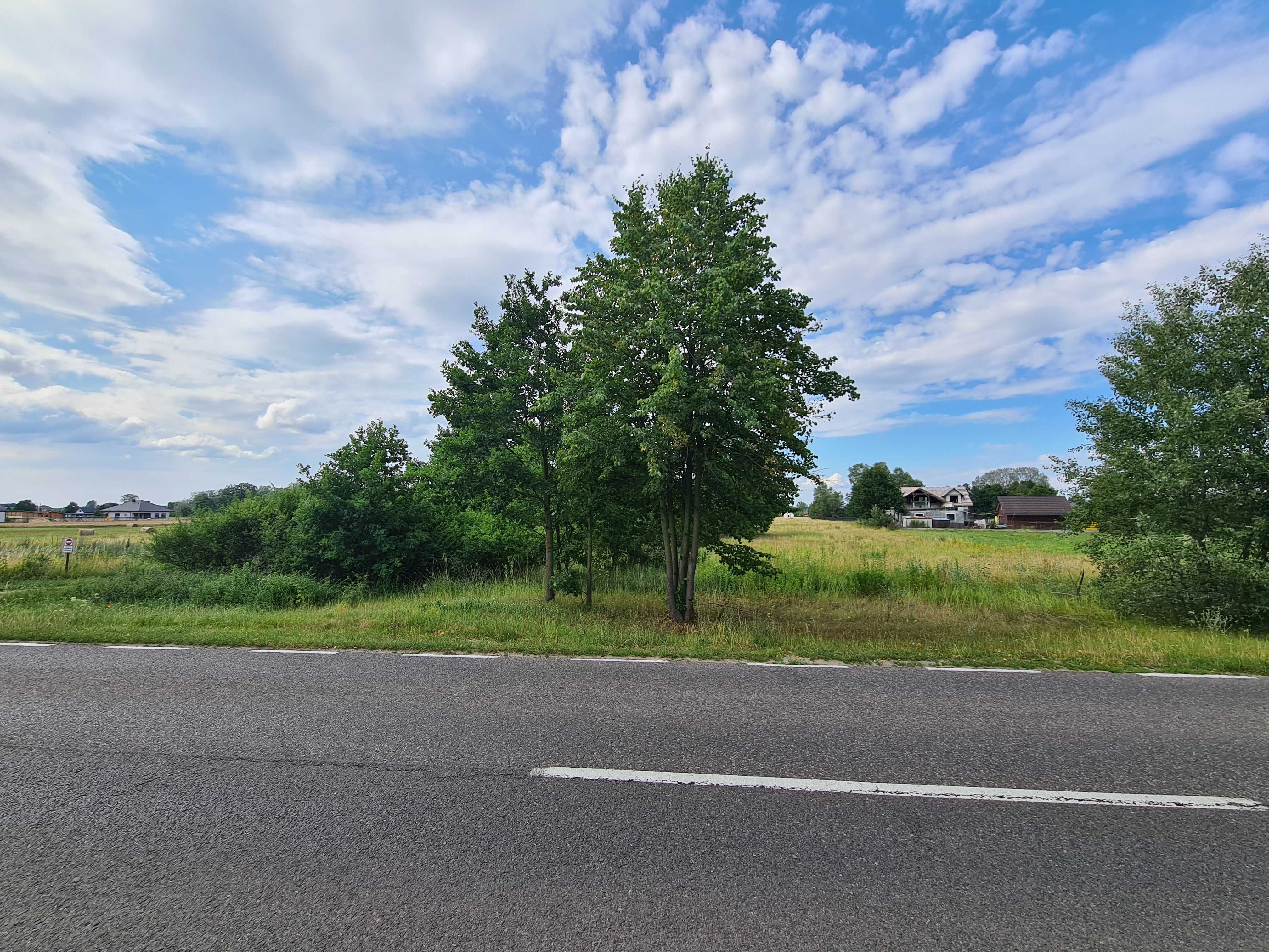Działka budowlana 1,05ha gm. Leoncin przy drodze DW 575