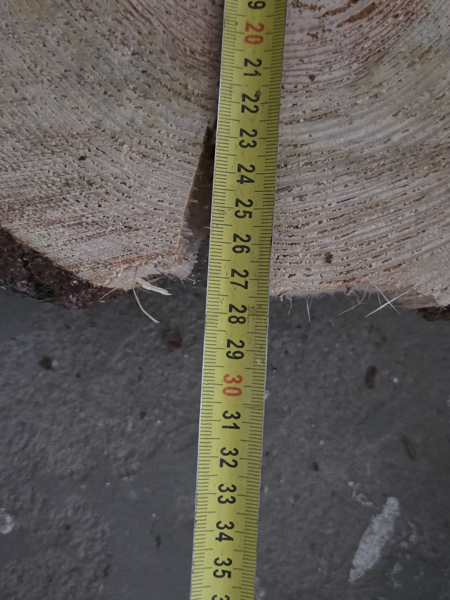 Plastry drewna 30cm - 6 szt