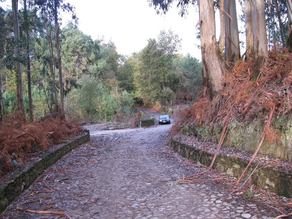 Terreno em Caminha (Viana do Castelo)