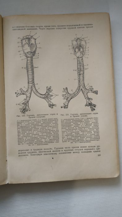 Анатомия человека Н.В.Колесников 1955 г