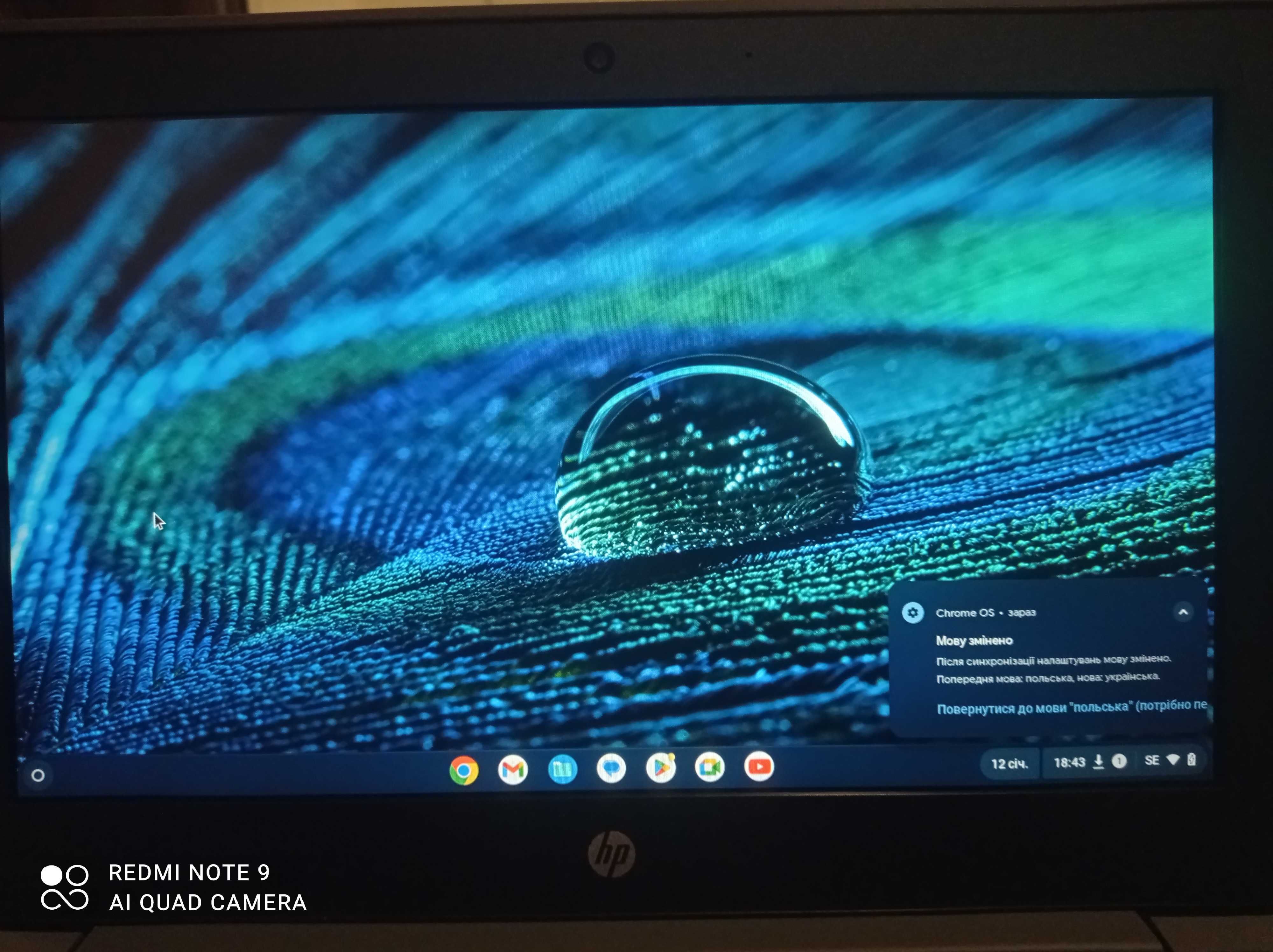 Ноутбук HP Chromebook G8 11.6" Intel Celeron 4 ГБ/32 ГБ зовні як нові