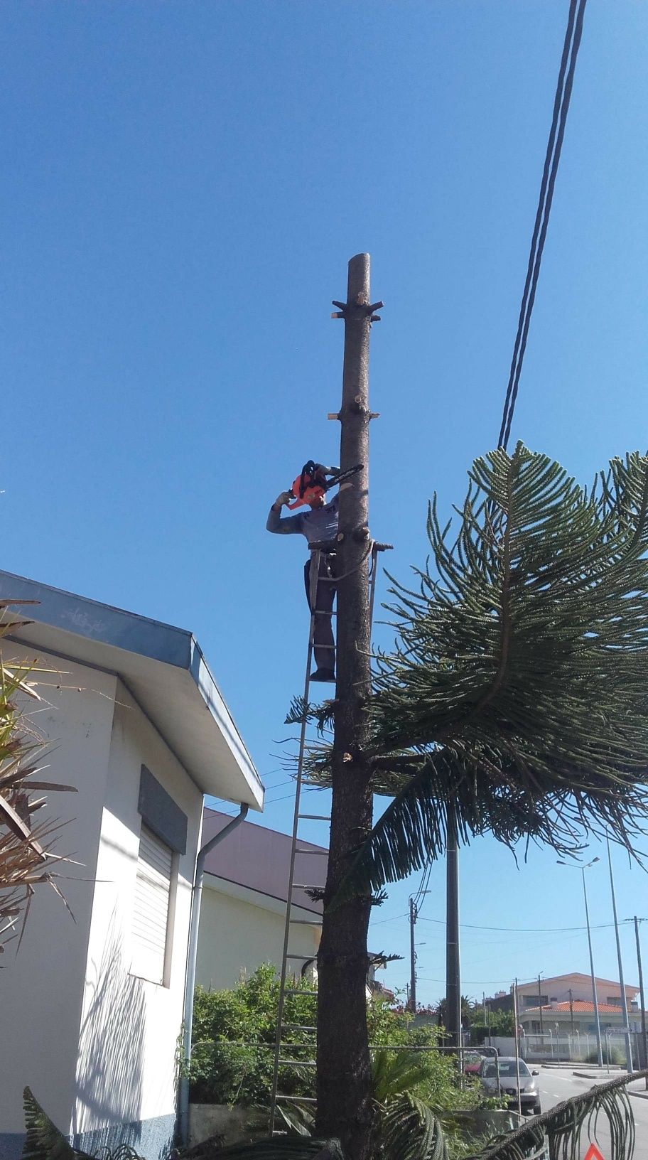 Manutenção/construção espaços verdes zona grande Porto e arredores