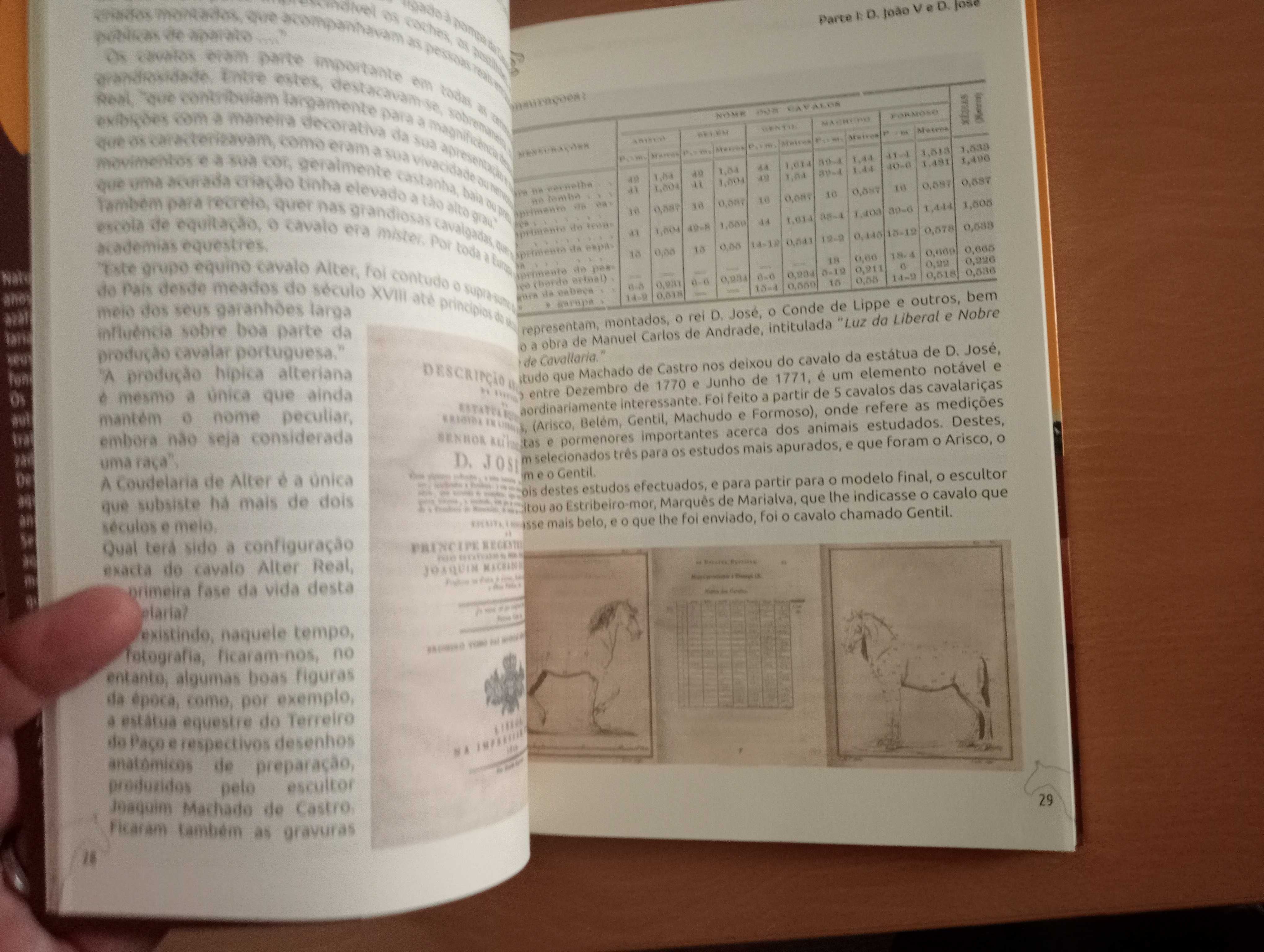 As Reais Manadas de Alter do Chão ao Longo da História