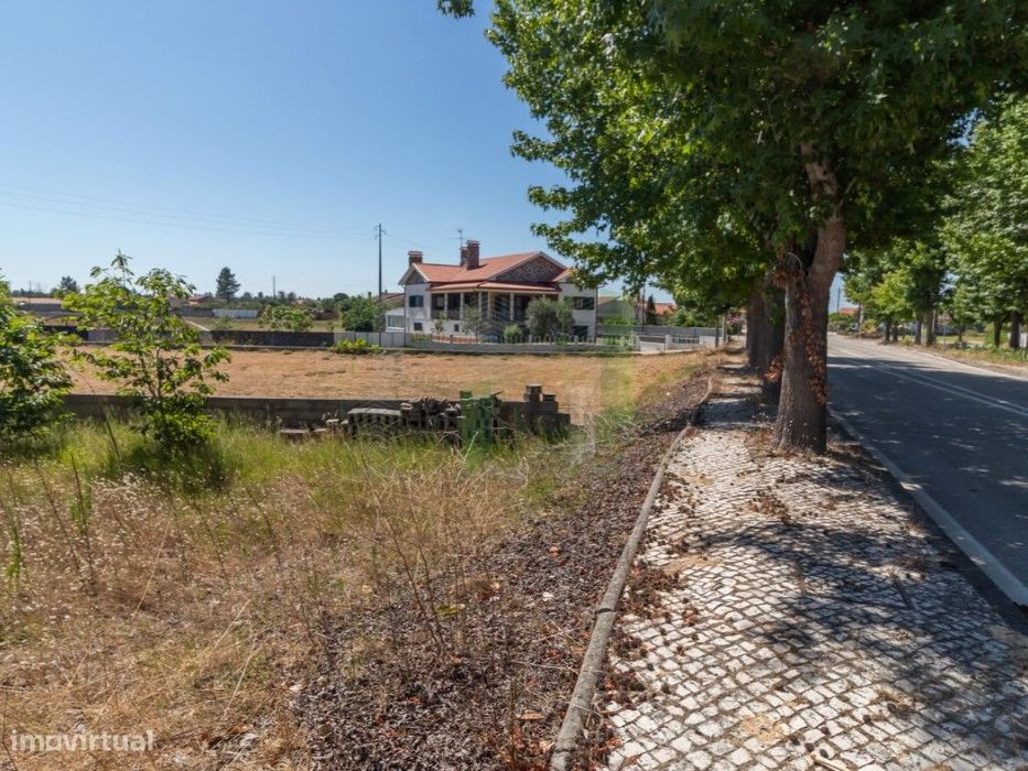 Lote Terreno em Mira