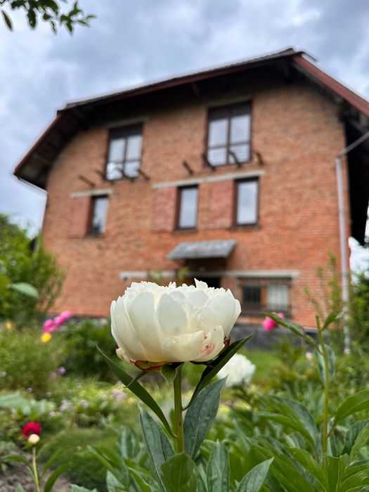 Продаж будинку Пустомити