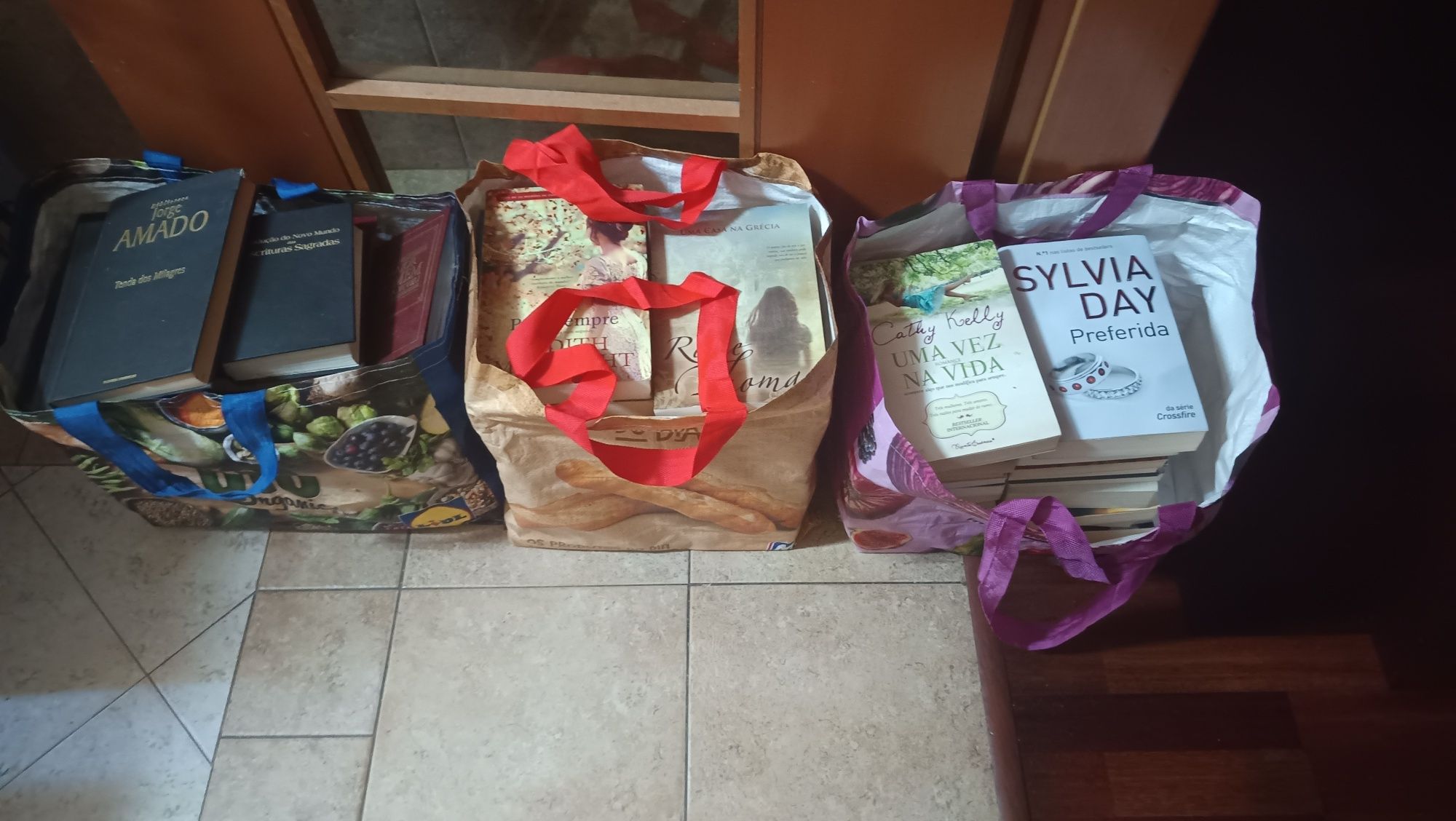 Lote de livros variados