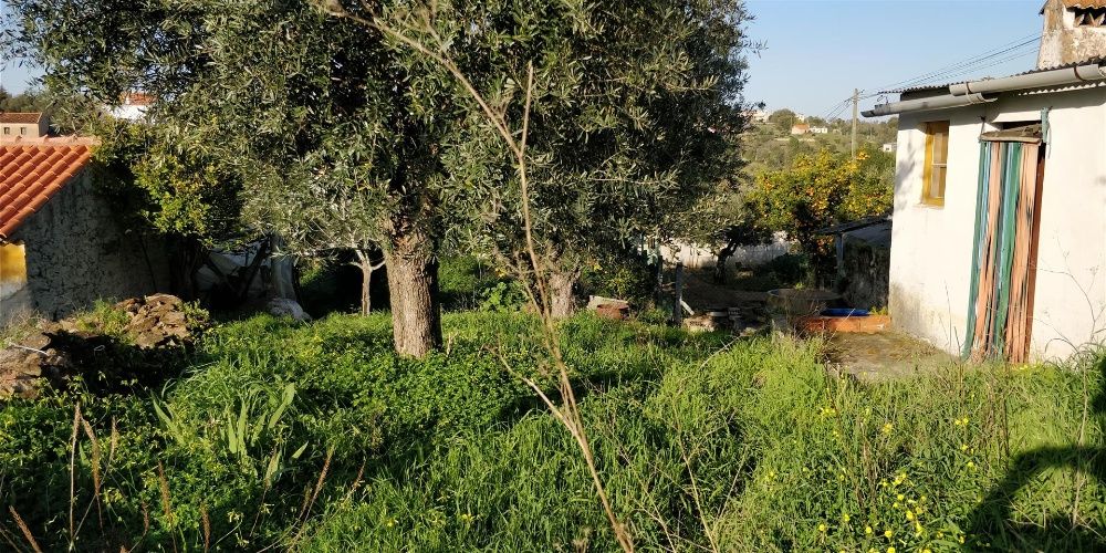 Terreno e Casa para Reconstruir em Mouriscas - Abrantes