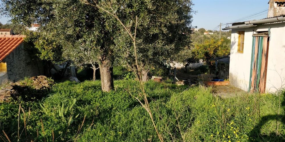 Terreno e Casa em Mouriscas - Abrantes