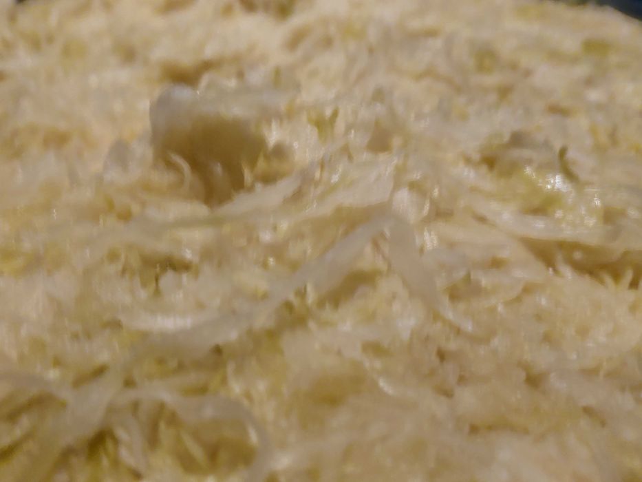 Oferta hurtowa kapusta kiszona tradycyjnie bez żadnych dodatków