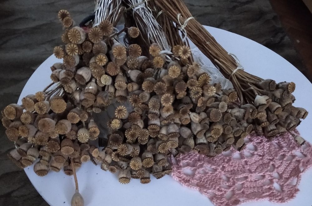 Сухоцвіти( мак, льон, кермек, лаванда,жито,овес,лагурус,фізаліс)