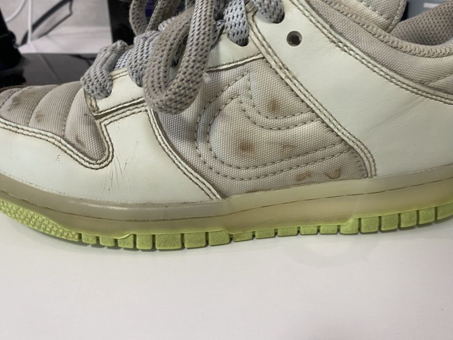 Кросовки nike dank