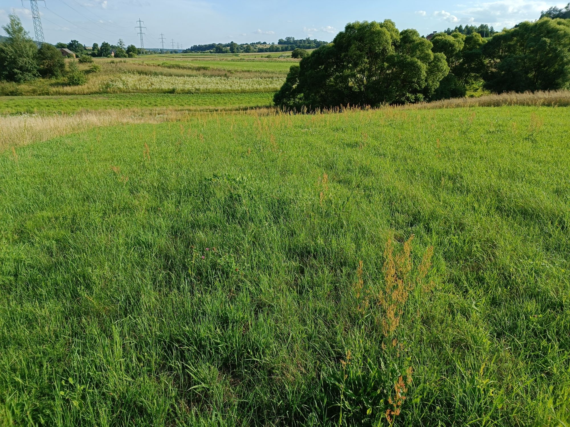 Продам земельну ділянку