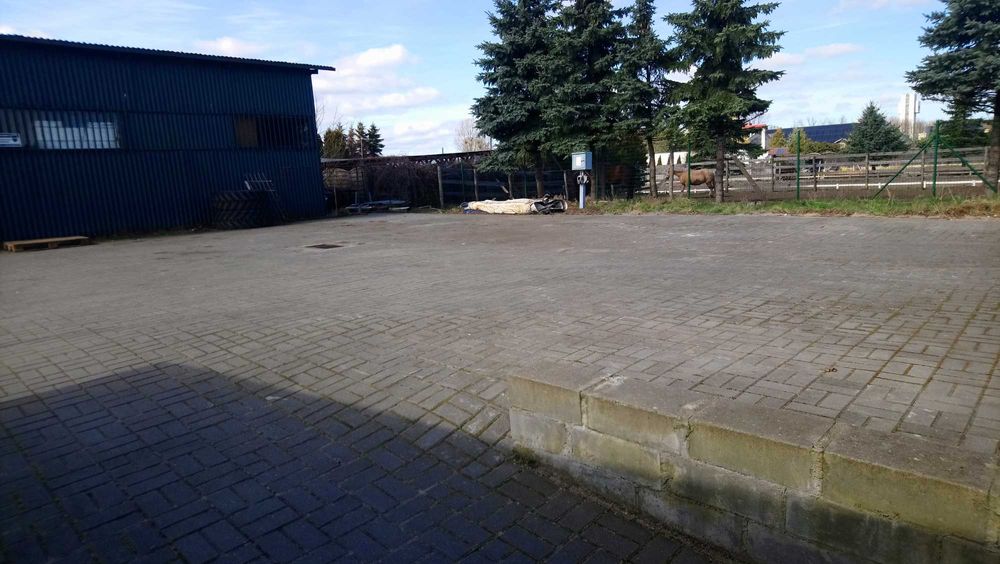 Magazyn 217 m2 Dębogórze Wybudowanie